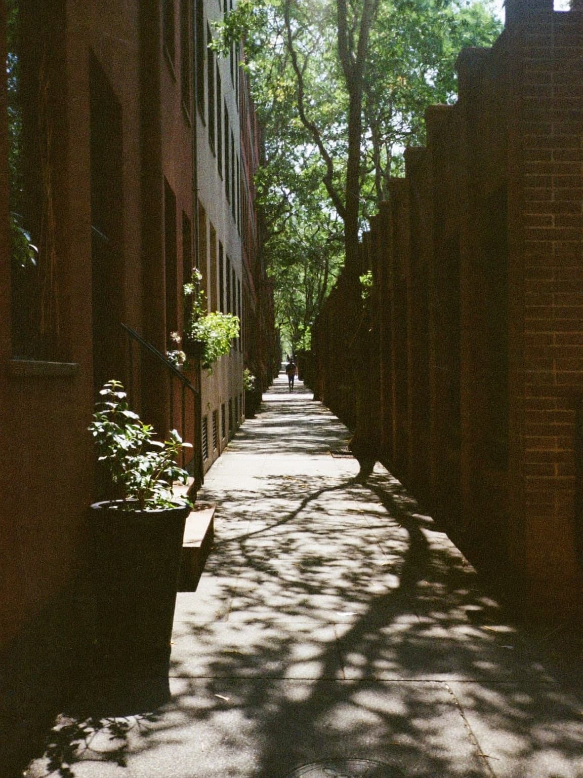 A quiet street in New York